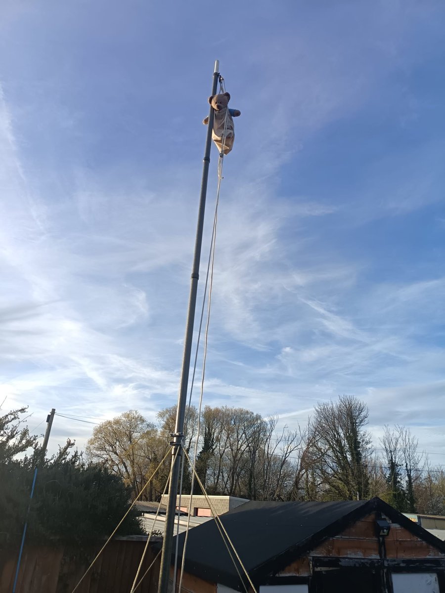 Benjamin Bus tweet media