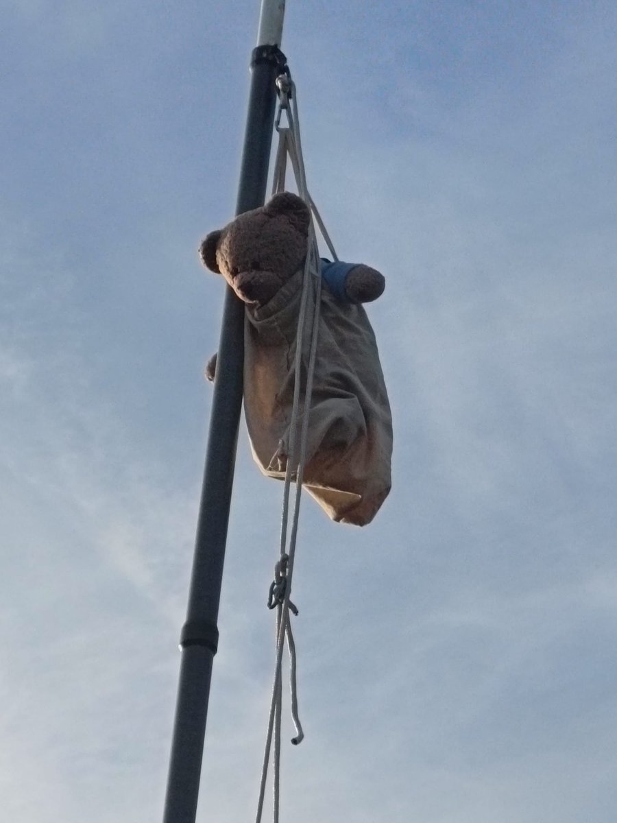 Benjamin Bus tweet media