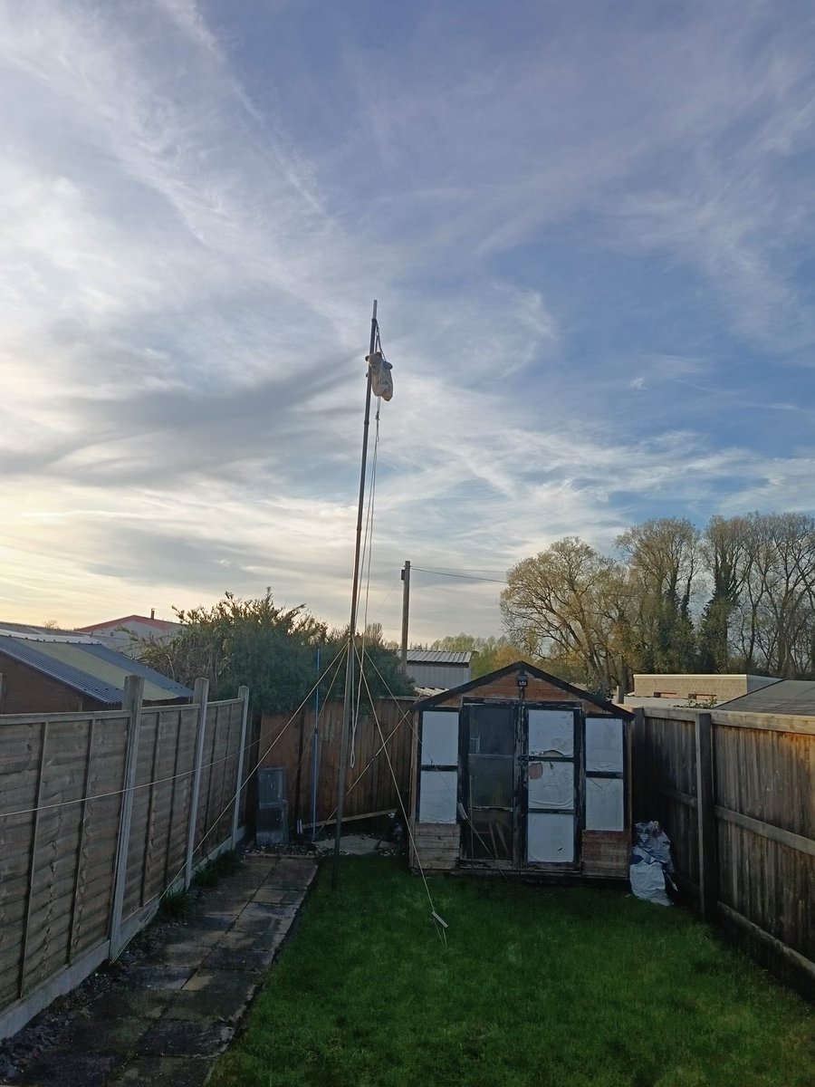 Benjamin Bus tweet media