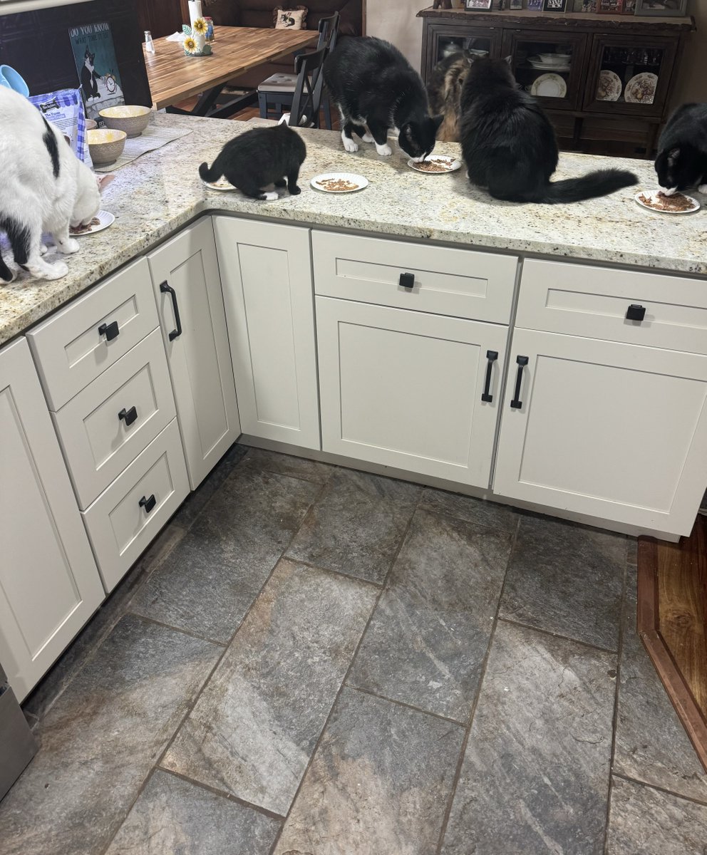 Dr.Stulittle tweet media