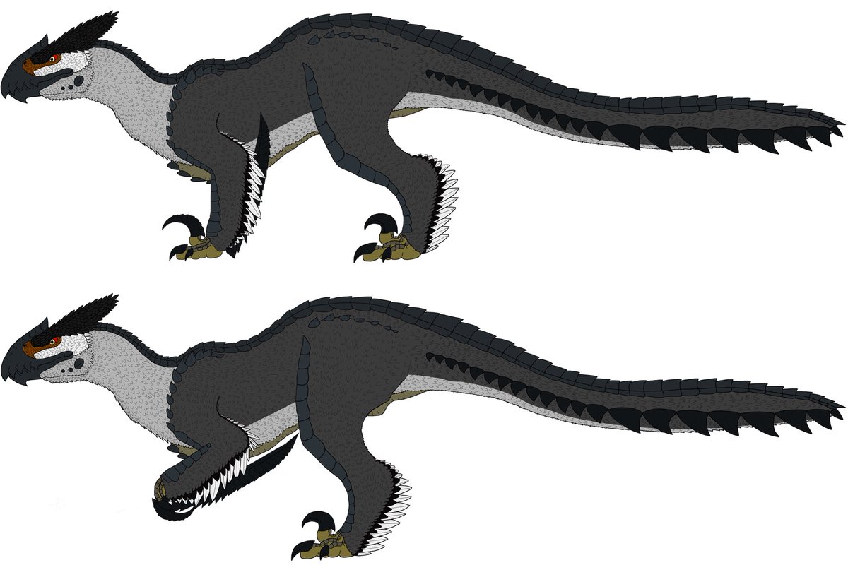 GROGLODYTE tweet media