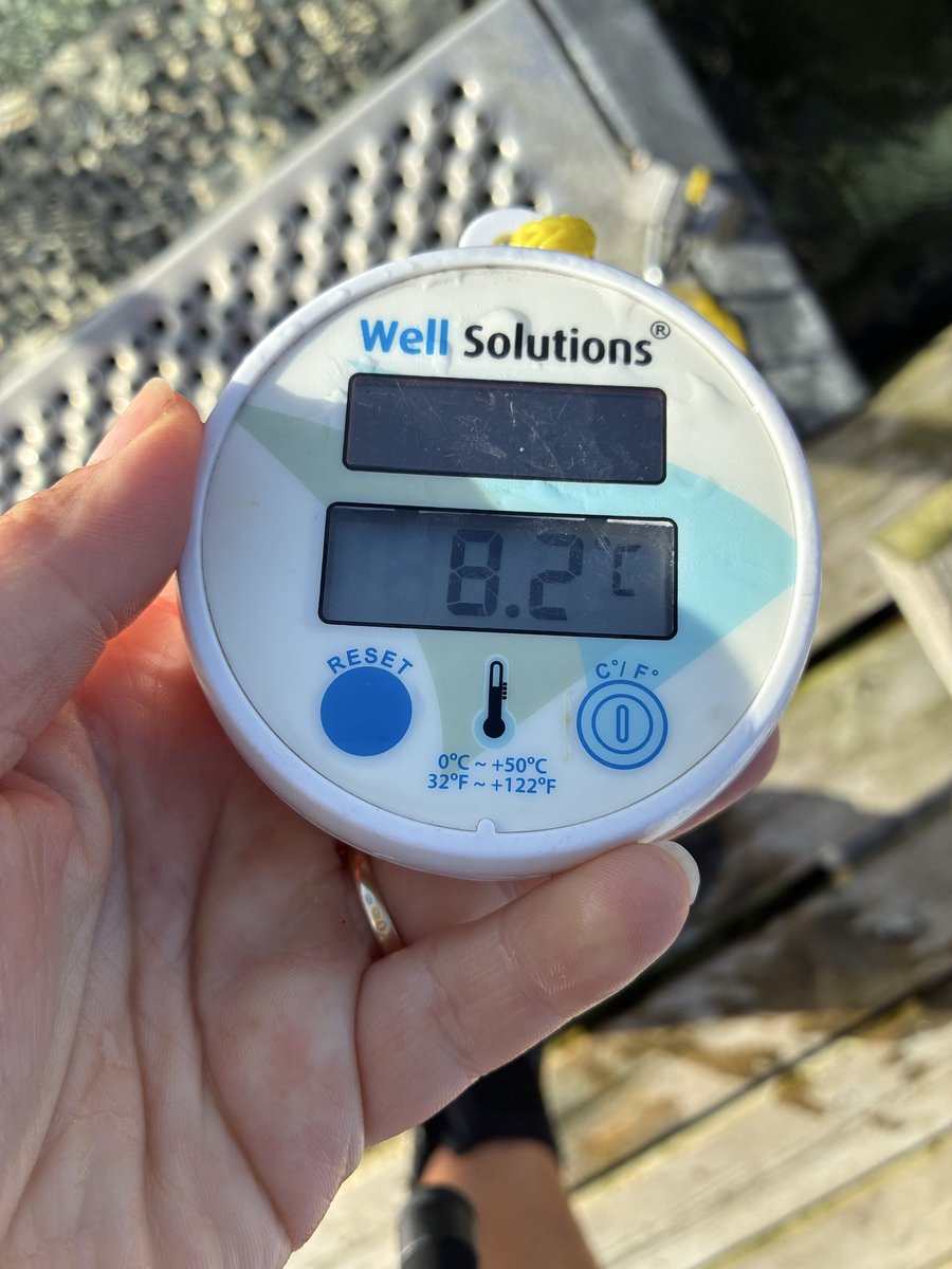 Lucky Agnes tweet media