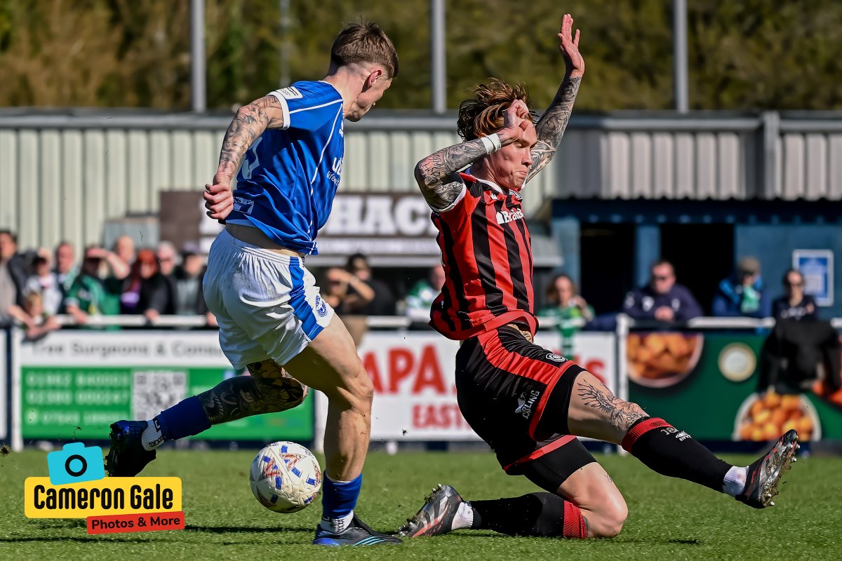 Behind The Fence Photography tweet media