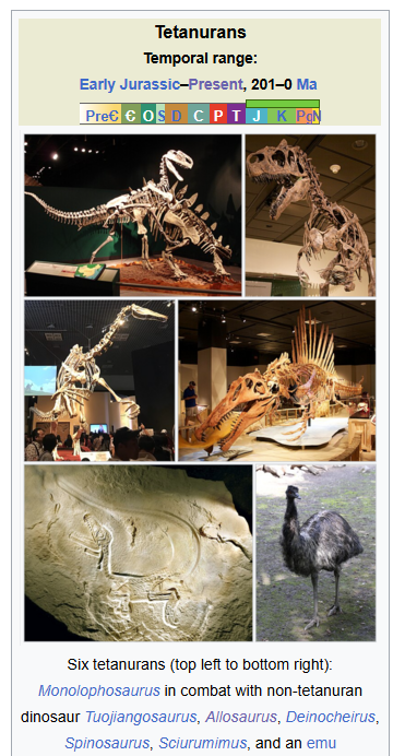 Kamepin UA🇺🇦 tweet media