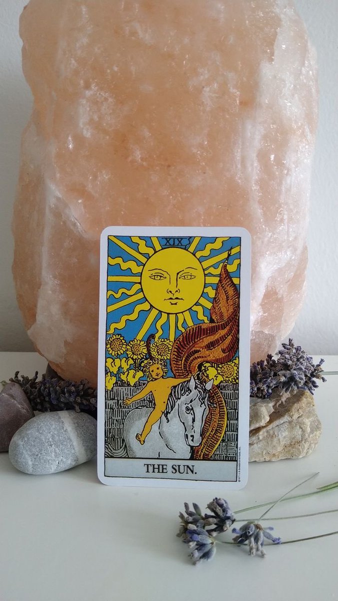 Tarot Dori | Tarot & Kahve Falı | Randevular Açık tweet media