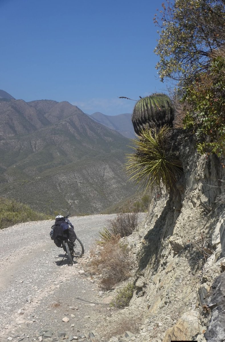 @CactusRegios tweet media