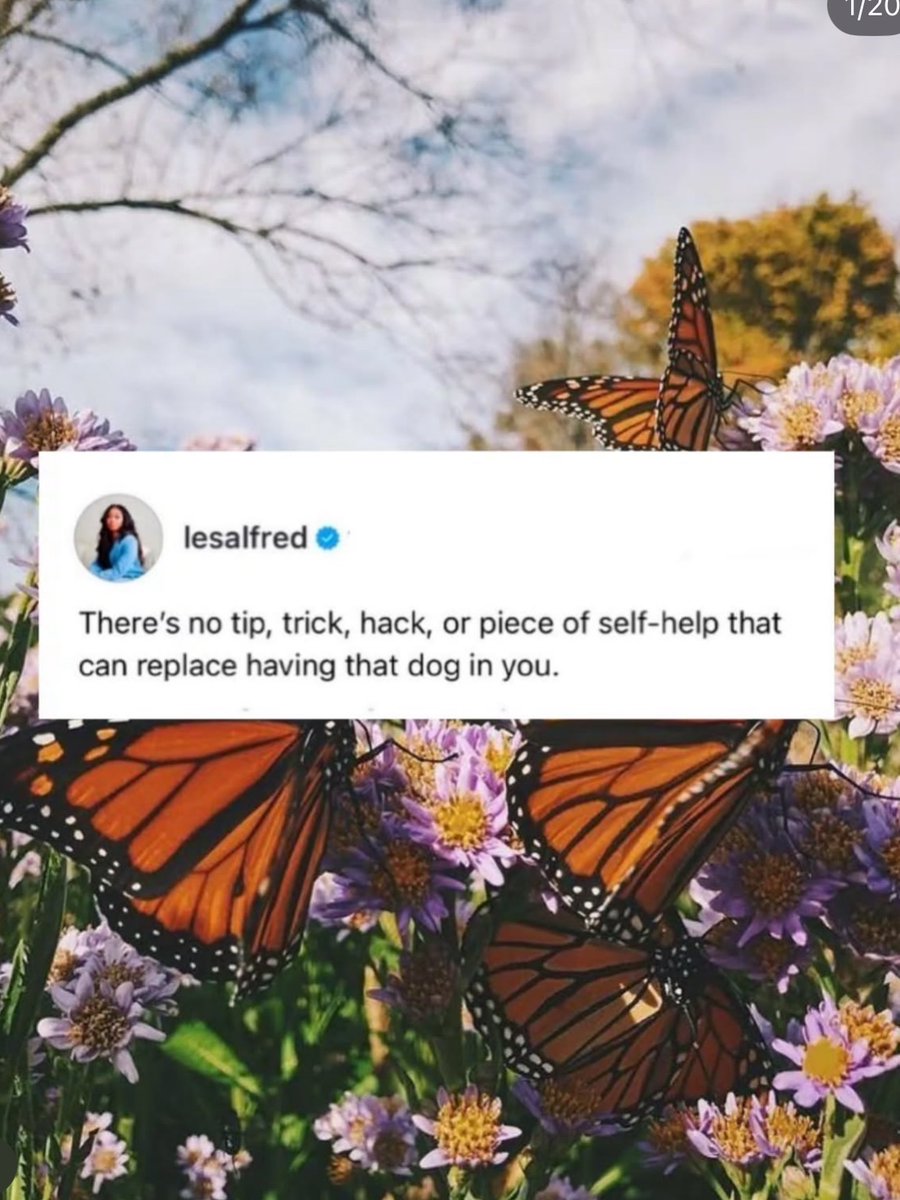 Claire Holt Source tweet media