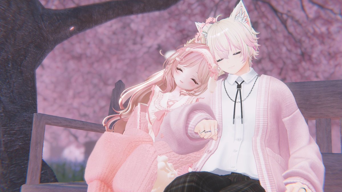 ねこすい tweet media