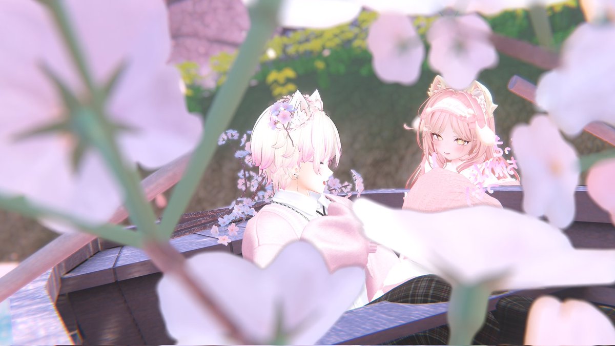 ねこすい tweet media