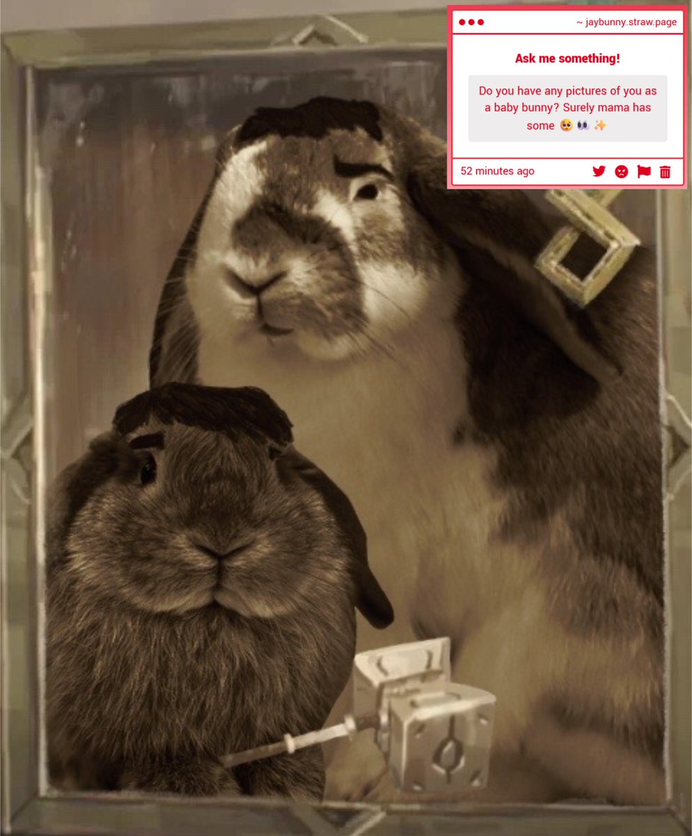 jaybunny tweet media