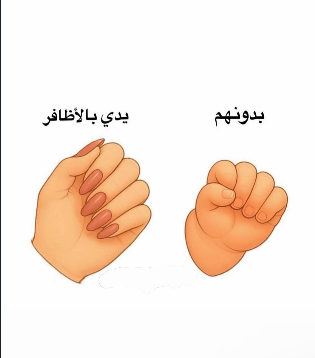 بيلسان | Bee tweet media