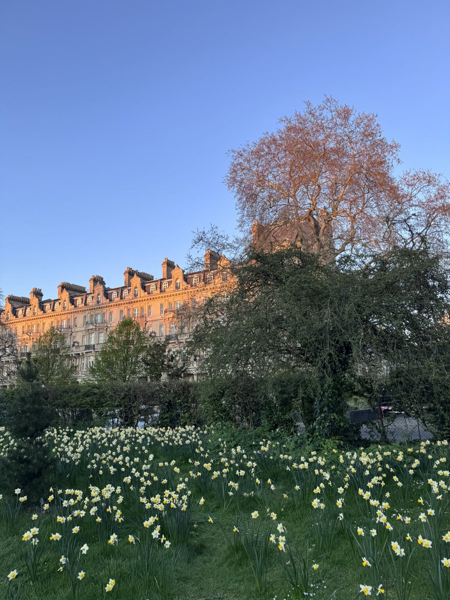 London in the sunshine is unbeatable. Whenever I feel down, I feel grateful to live somewhere where this is on my doorstep 🇬🇧