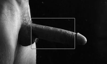 The F. C. C. tweet media