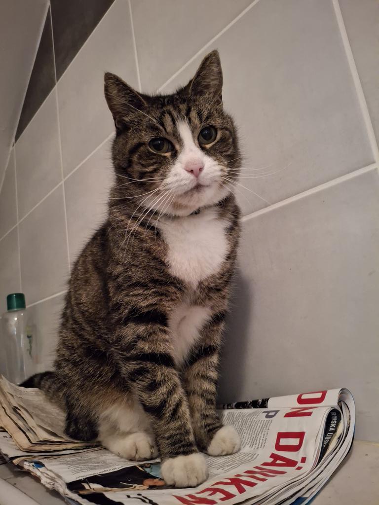 Gabriela Šťastná 🇨🇿🇺🇦 tweet media