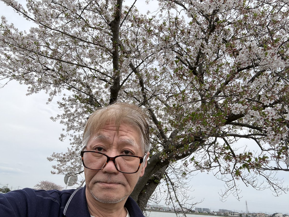 Rena_desu's tweet photo. 花より団子だけど、花見した。
遅いけど散りかけた、桜吹雪が、素敵だった。
#花御 #桜 #SAKULA https://t.co/fv0Rbhy2PV