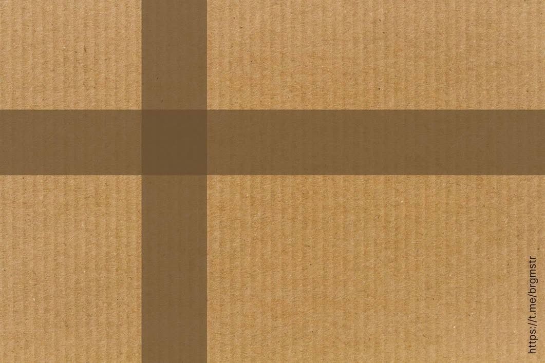 Ramin Nasibov tweet media