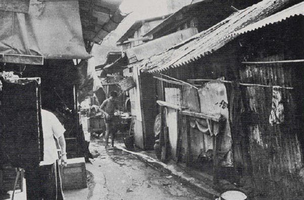 猫犬gatodawg 🇺🇦🏳️‍⚧️ UTOPIA OUT NOW! tweet media