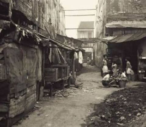 猫犬gatodawg 🇺🇦🏳️‍⚧️ UTOPIA OUT NOW! tweet media