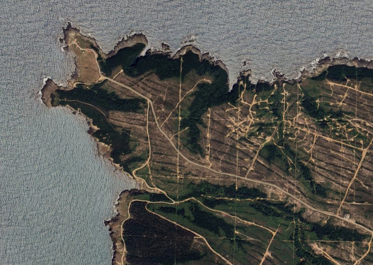 Tommy Vercettioğlu tweet media