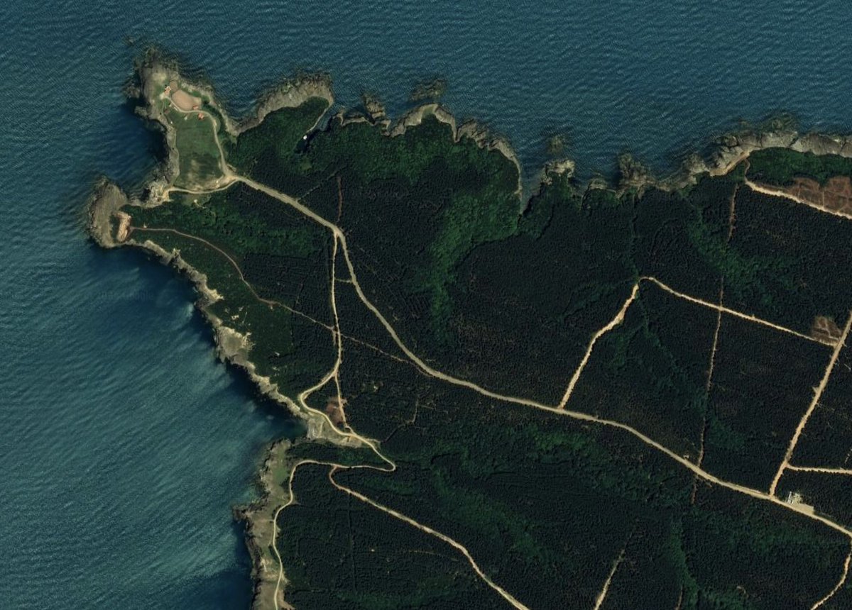 Tommy Vercettioğlu tweet media