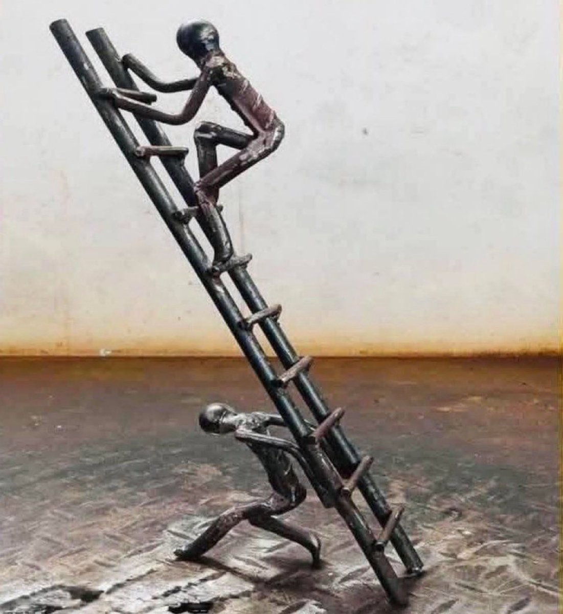 ماجد tweet media