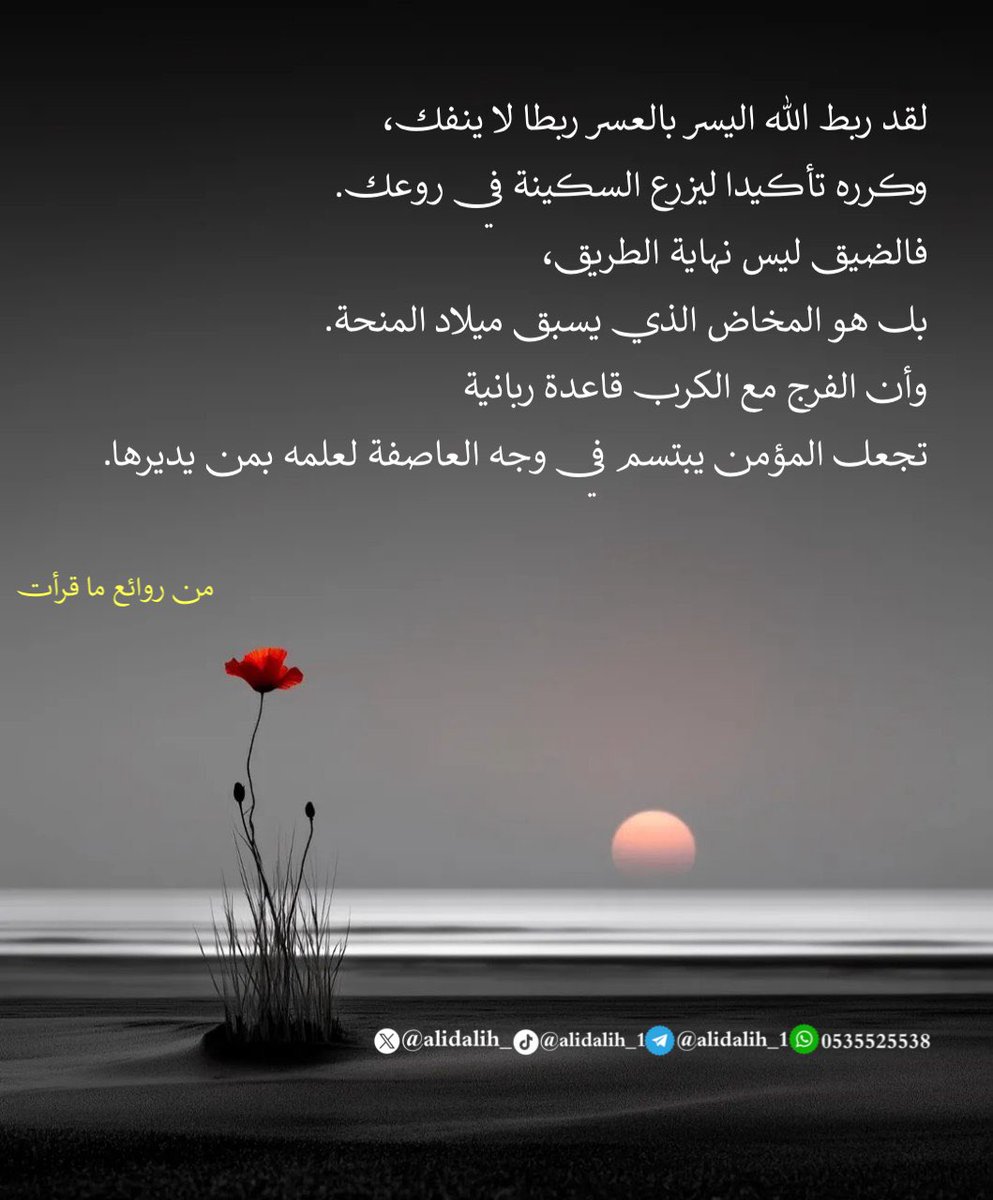 ۤ؏ـليِٰ بّنَِٰ دليِٰه آلأسٰٰٓمـرٰيِٰ tweet media