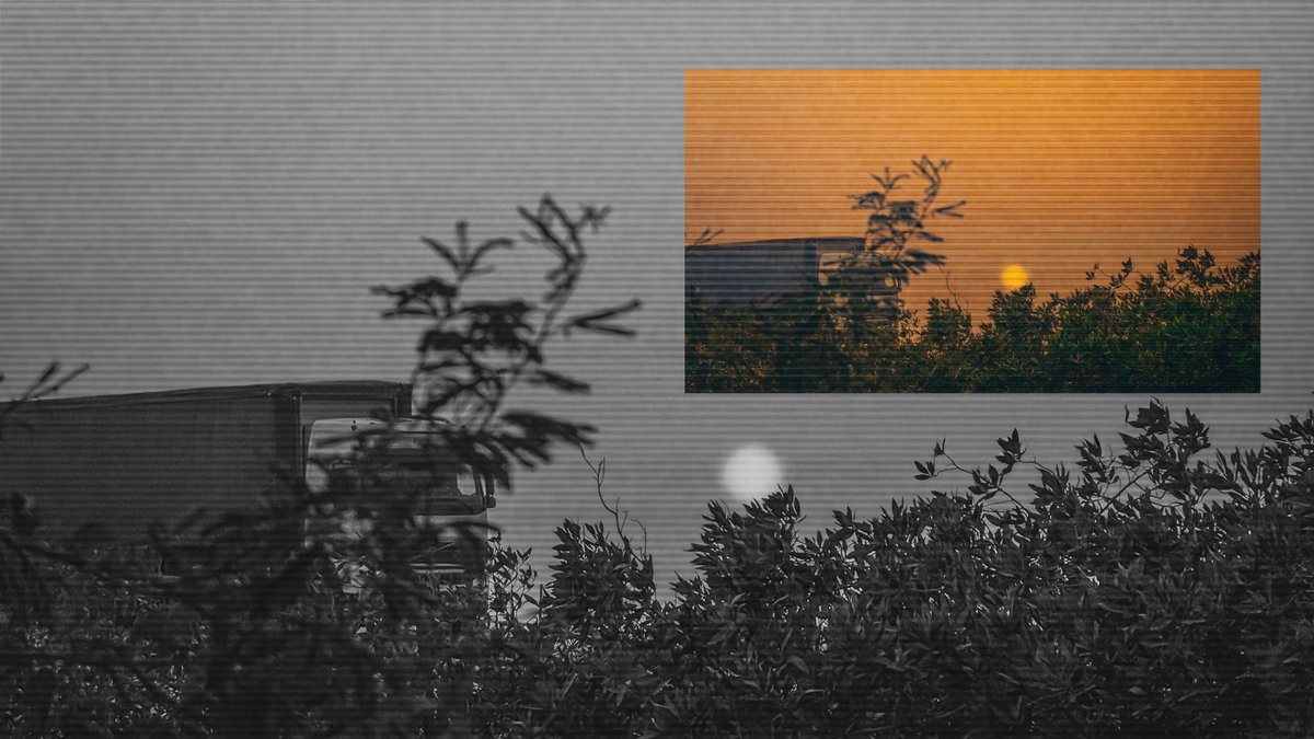 سـعُــود tweet media