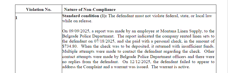 SeabornLarson's tweet image. New fed court records: Revocation proceedings for campaign consultant Abbey Cook began with a bad check allegedly written in Gallatin Co last year.
But the alleged cruise ship trip that's been going around appears to have reached federal probation officers today #mtnews #mtpol