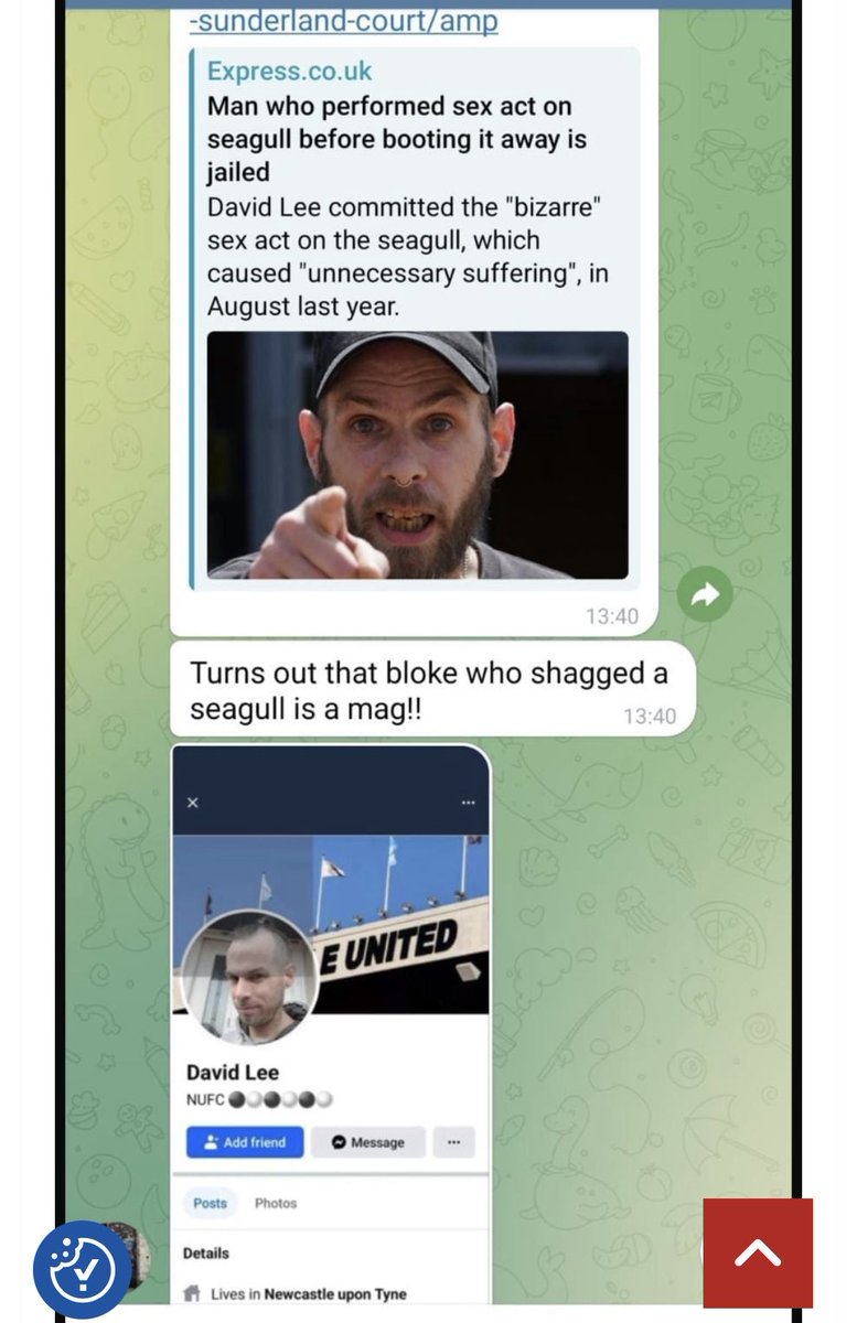 #hawaythelads tweet media