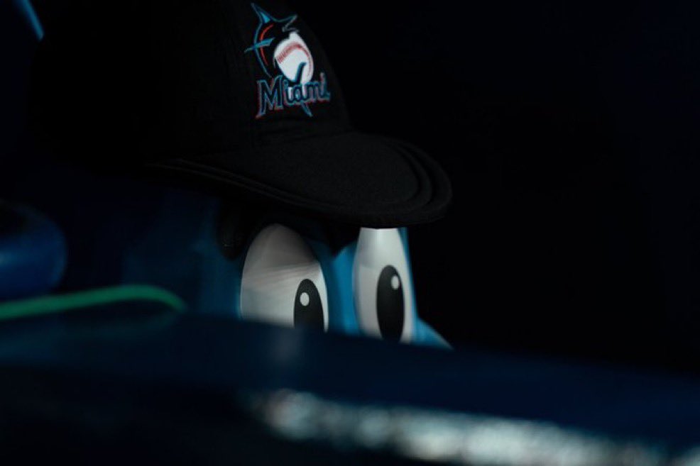 NOT THIS TIME BO tweet media