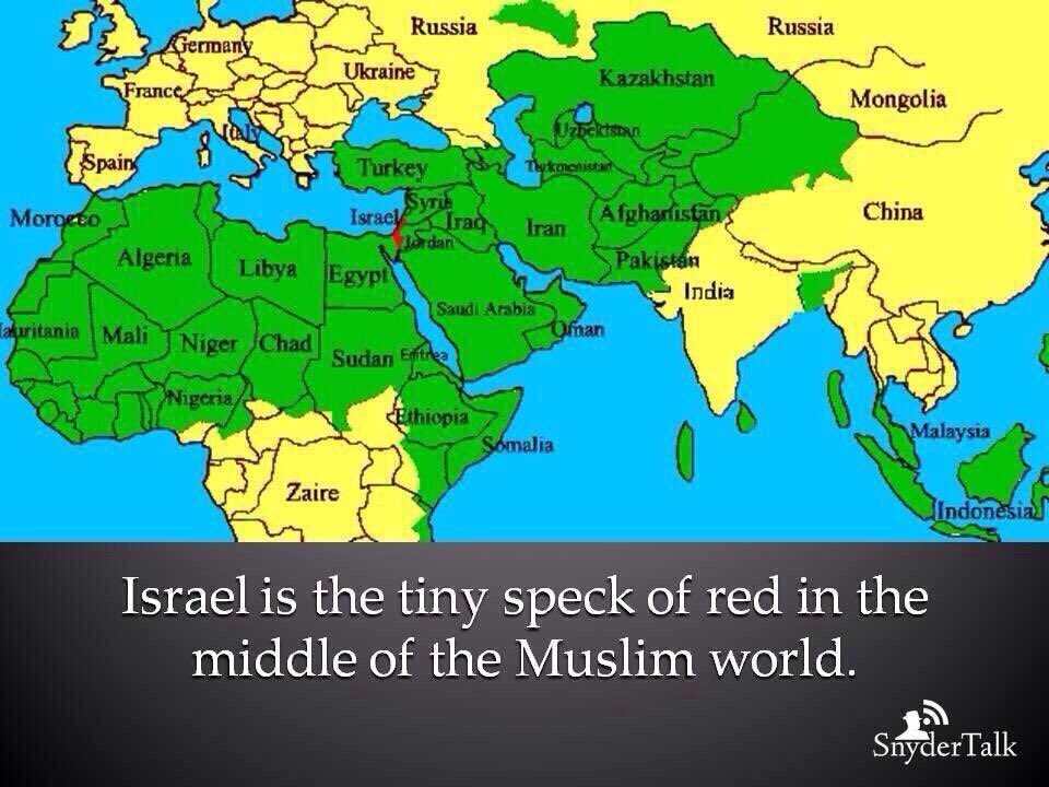 EDDIE FLEISCHMAN tweet media