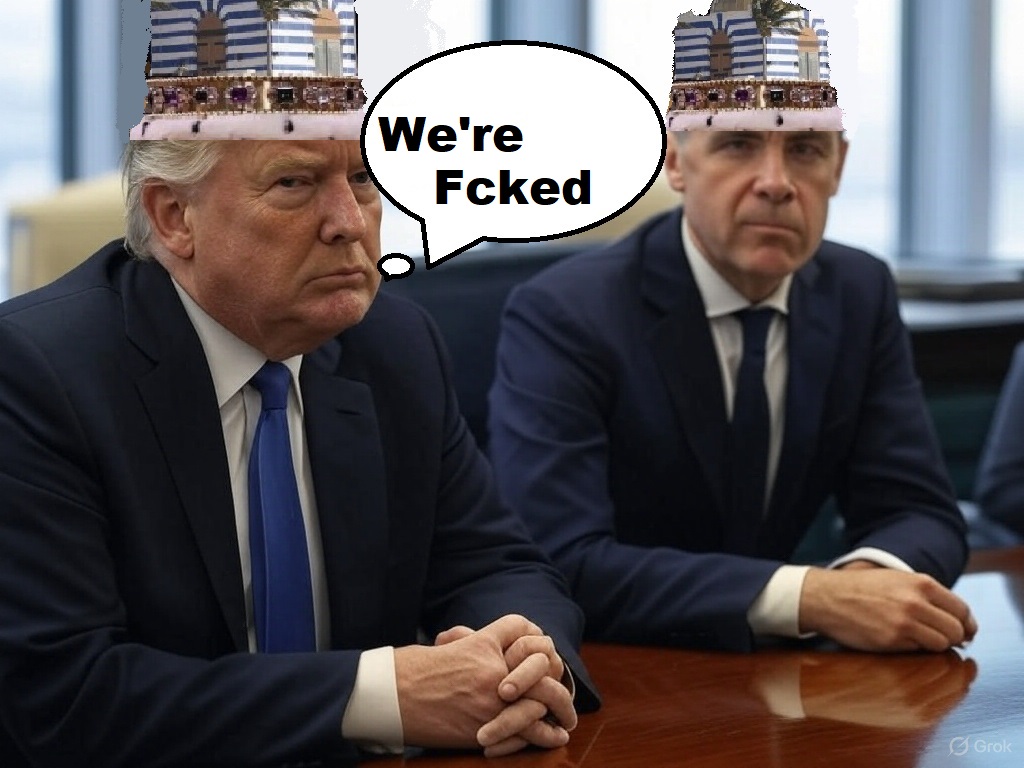 NOW CANADA tweet media