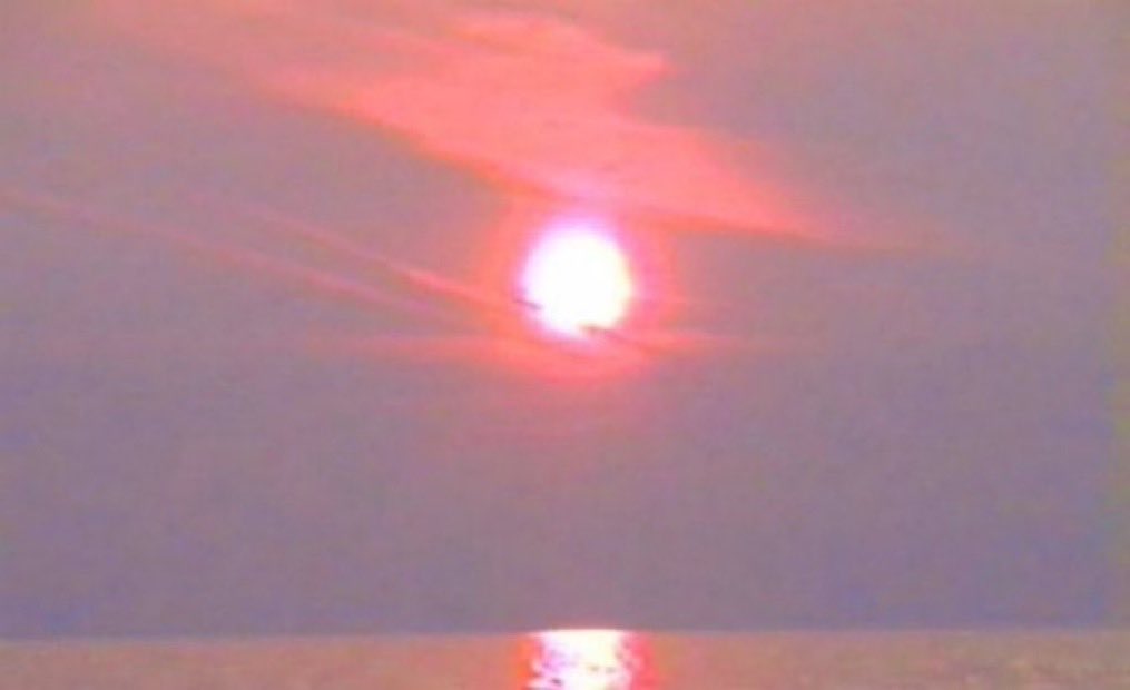 二千二十七 tweet media