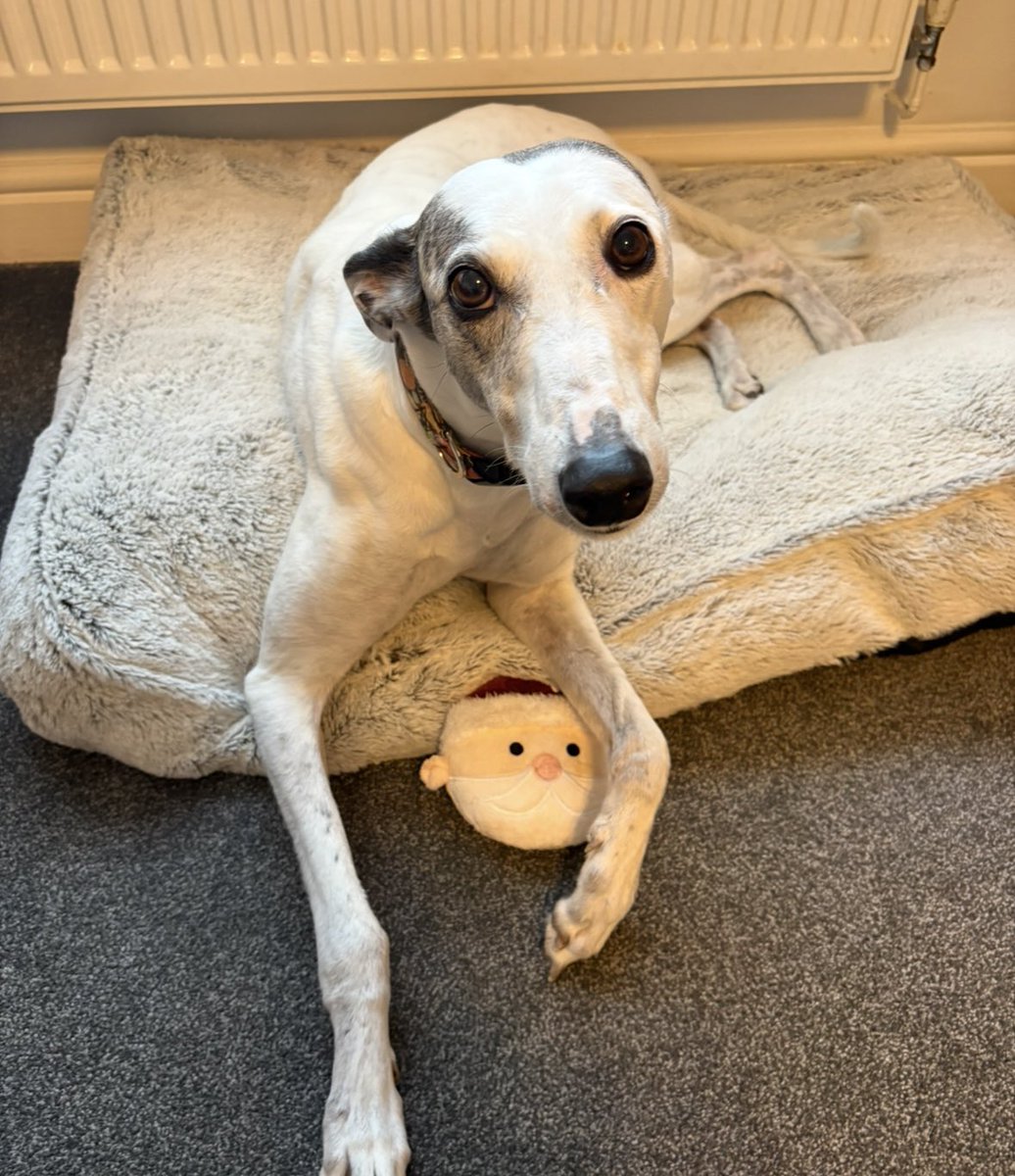 Emily Wallis tweet media