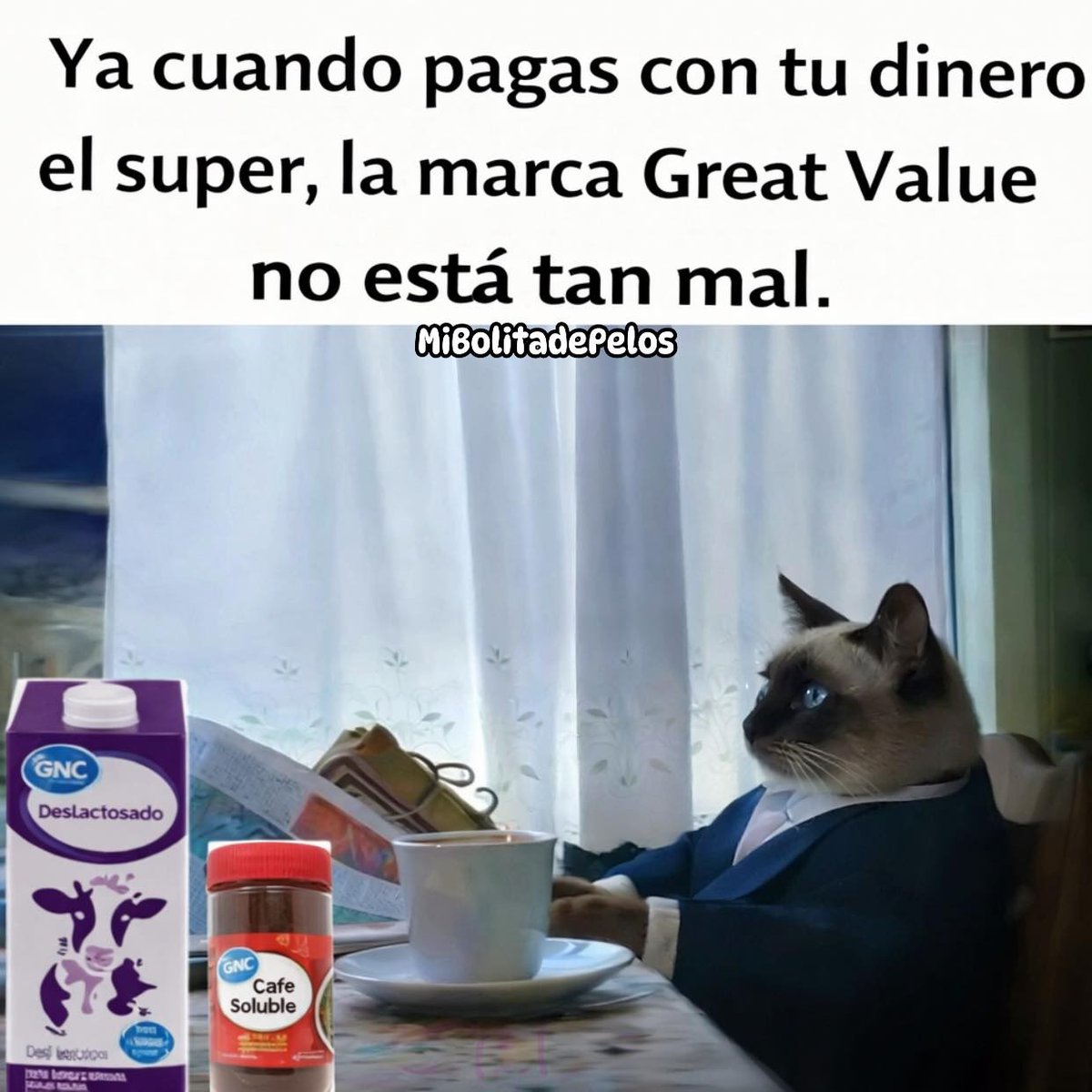 Afromexicano tweet media