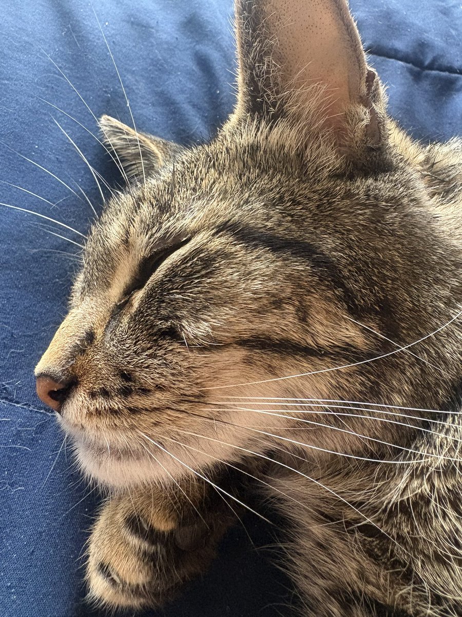 Michele Steer tweet media