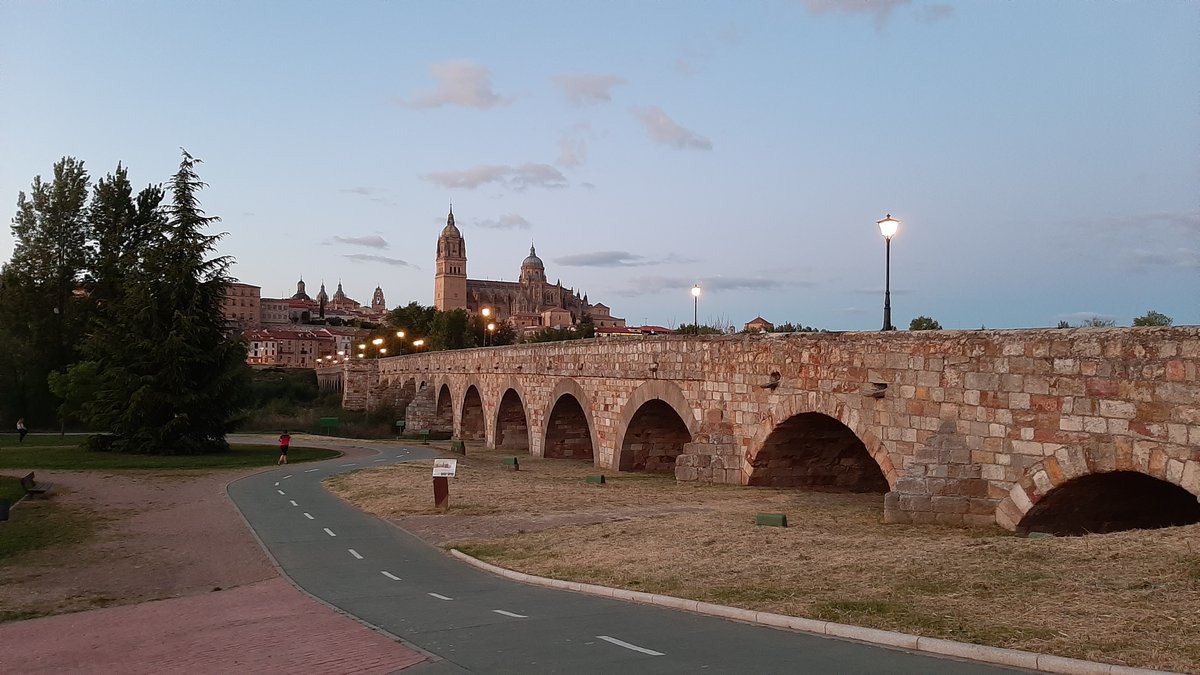 Congreso CINCOMA tweet media