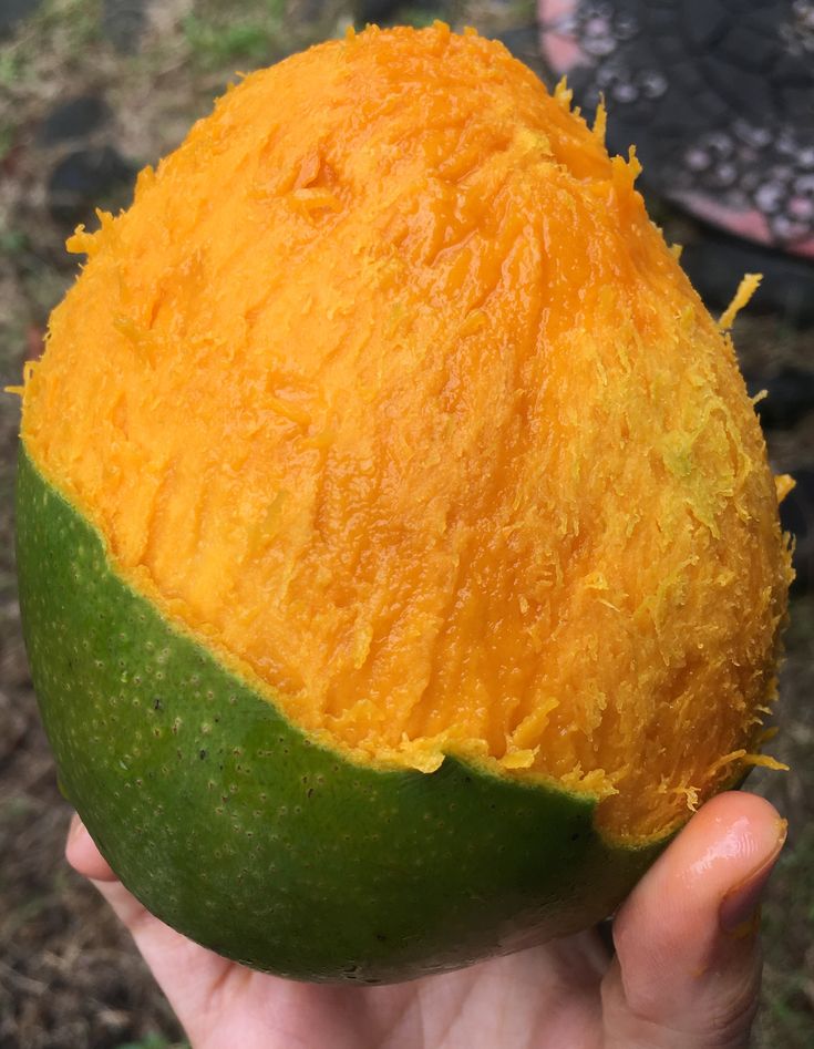 Vocês gostam desse tipo de manga?