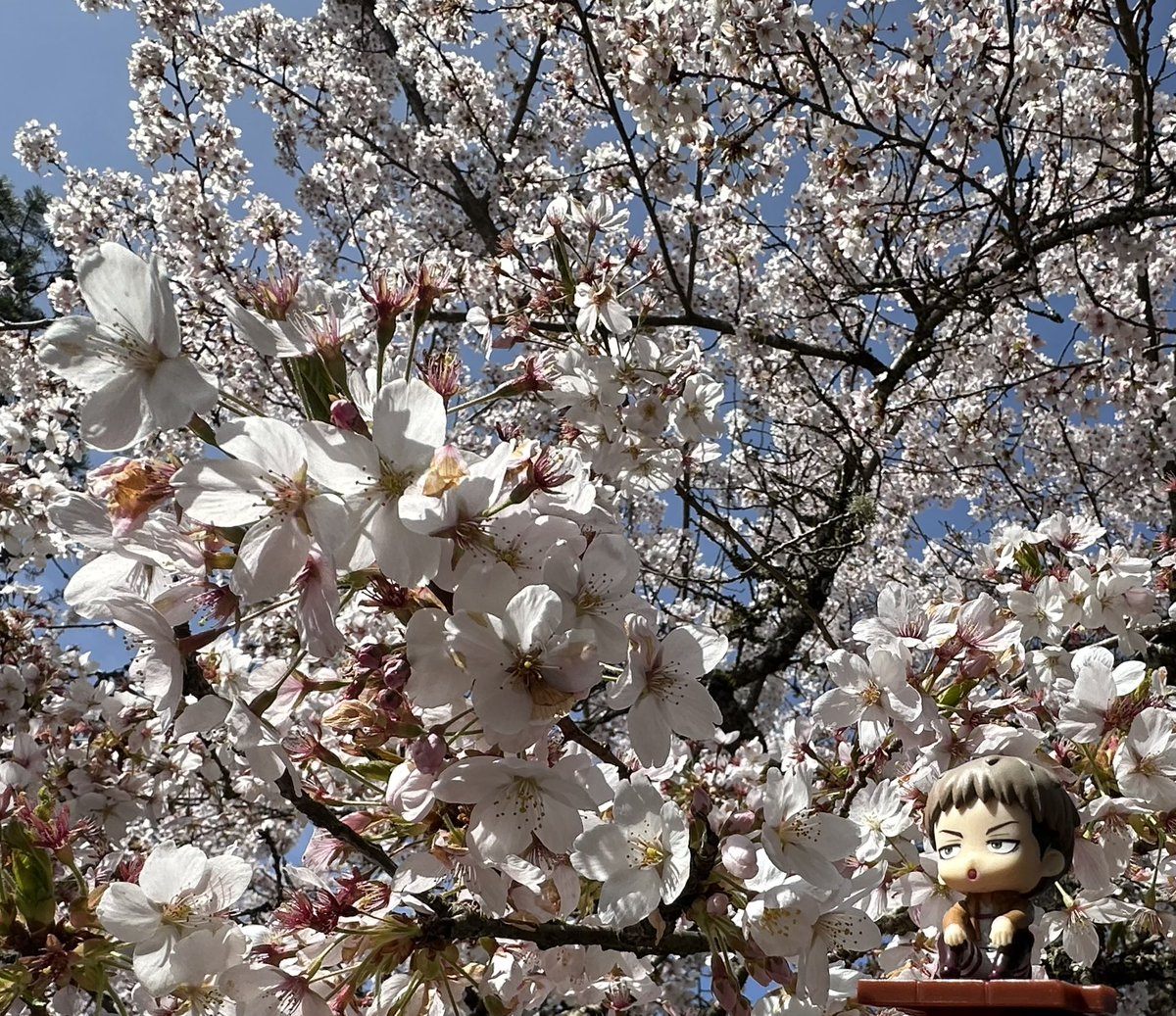 ヘーガー ☔️☀️☁️ tweet media