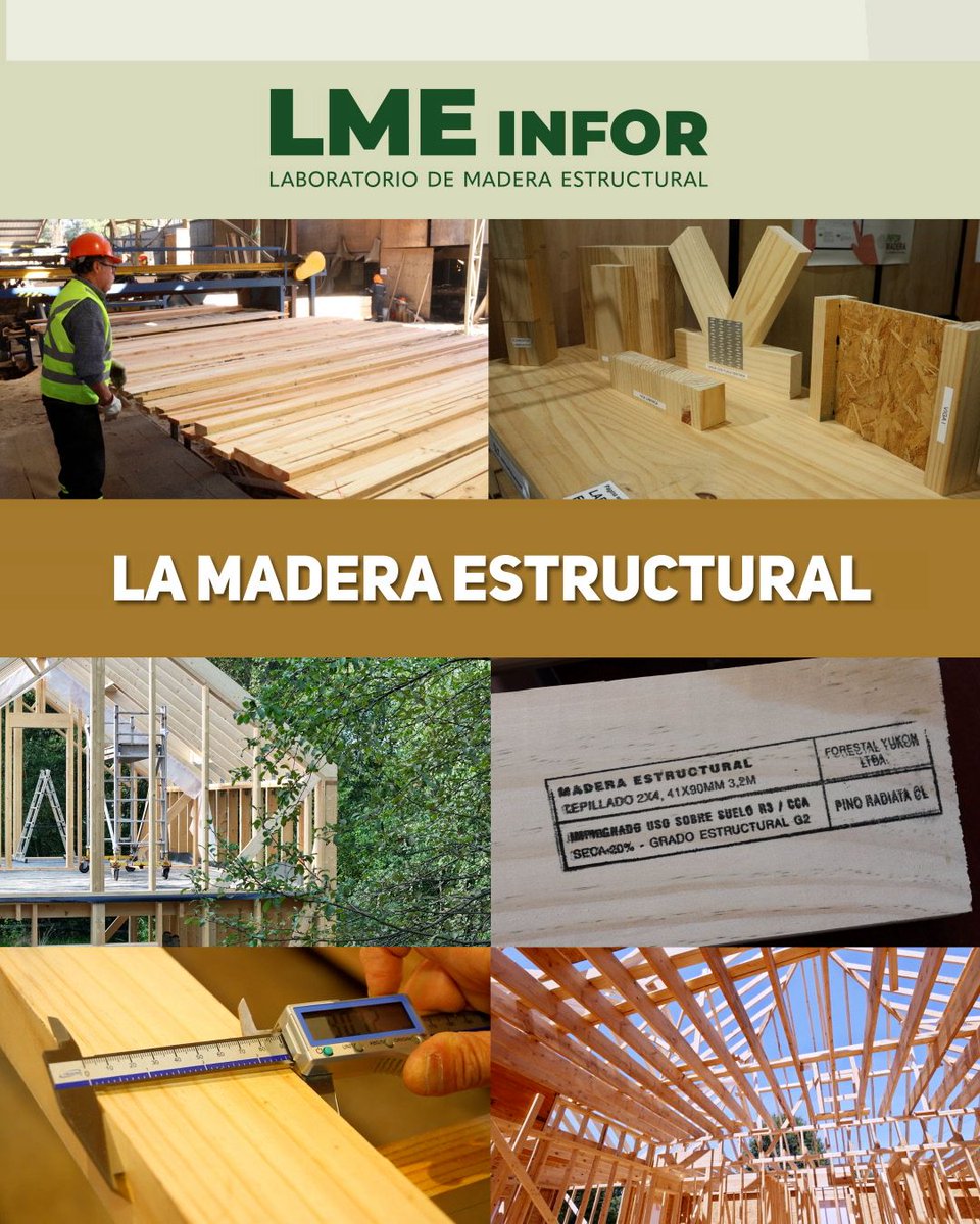 Instituto Forestal tweet media