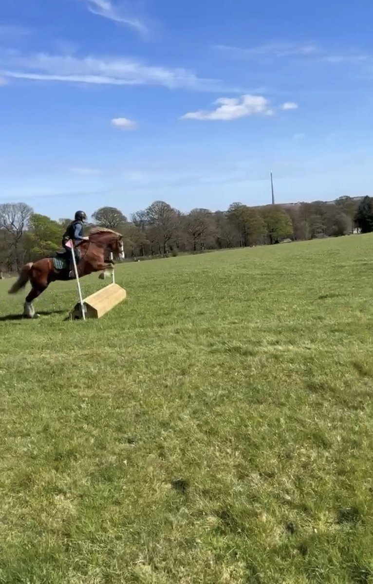 GingerEquestrian🧡🇬🇧 tweet media