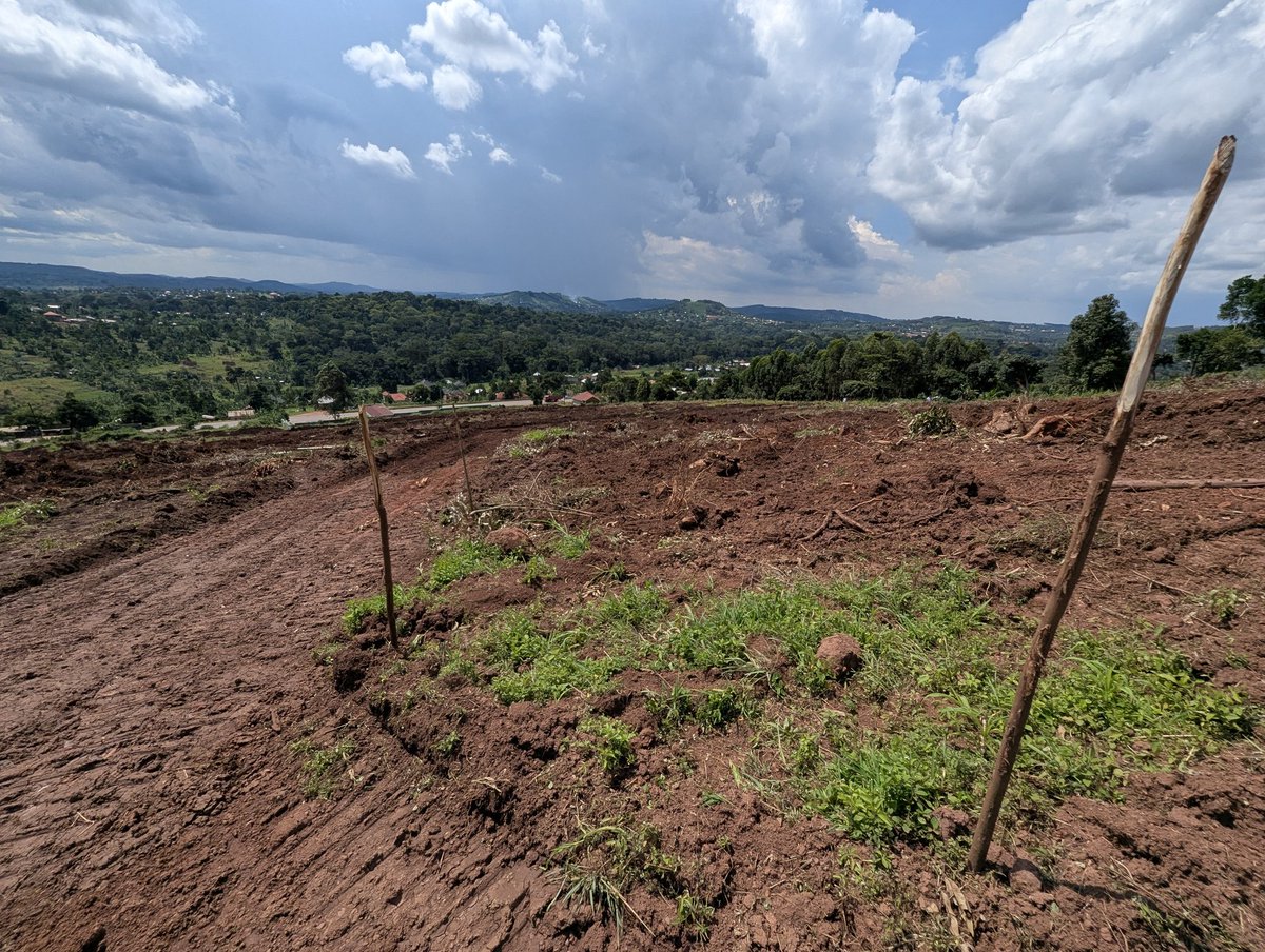 Douglas Mukwaya. tweet media