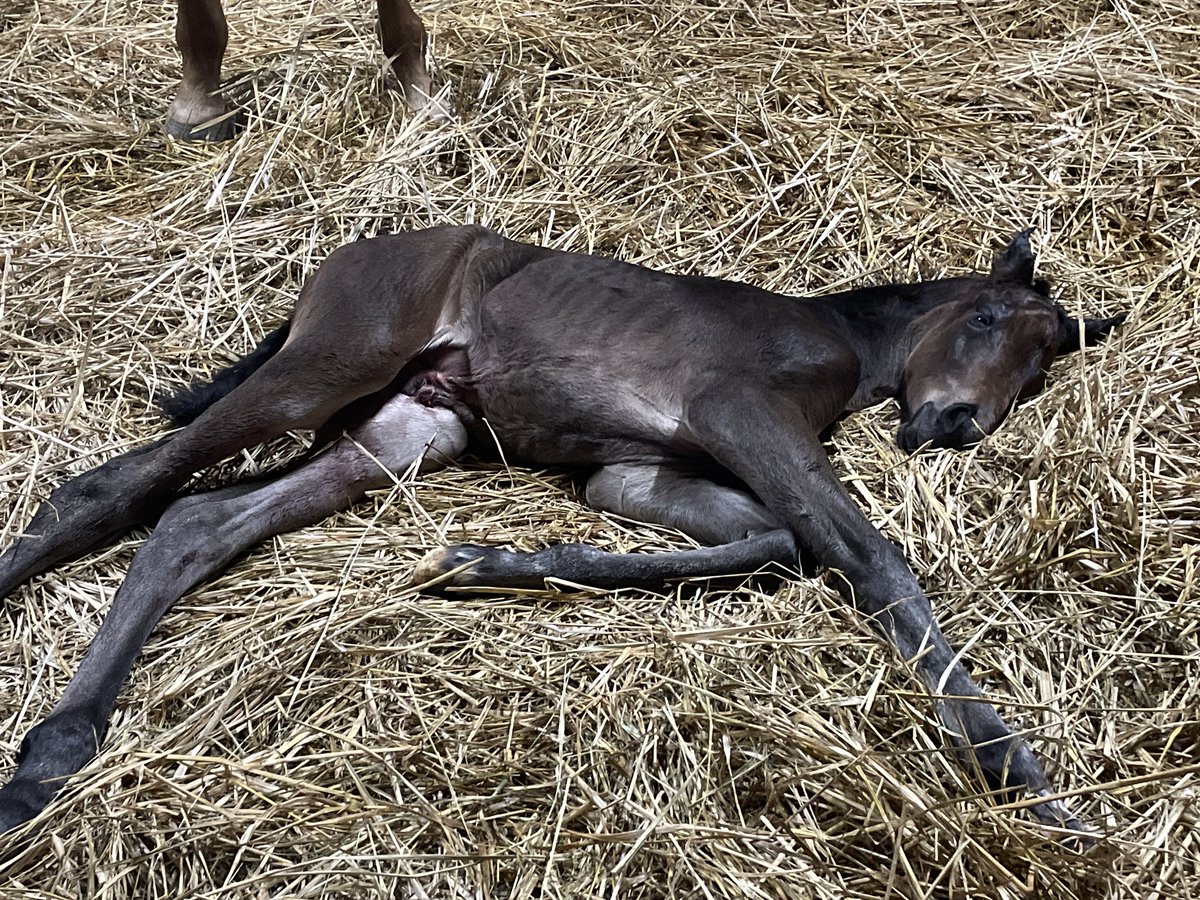 HOPE FARM tweet media