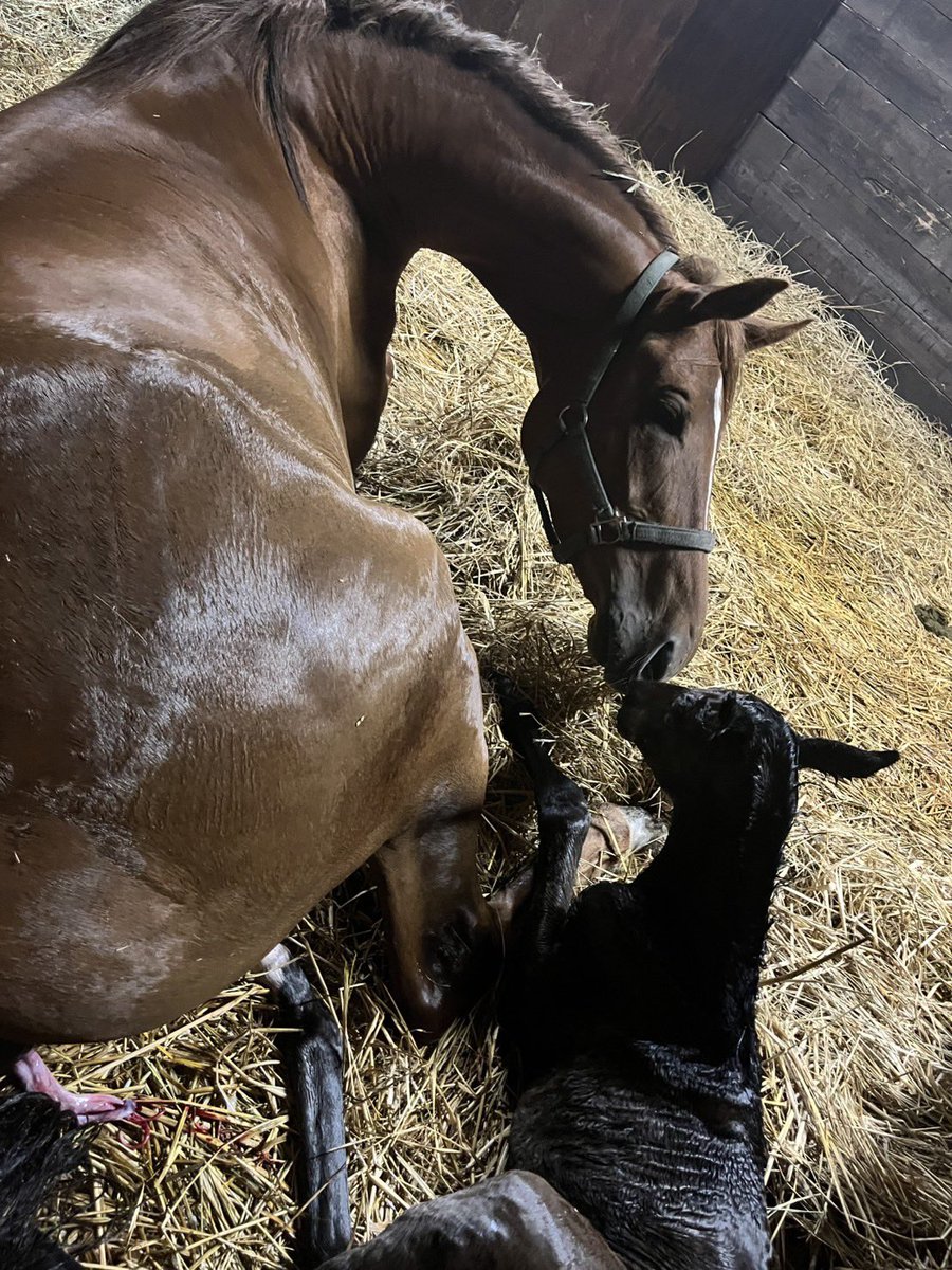 HOPE FARM tweet media