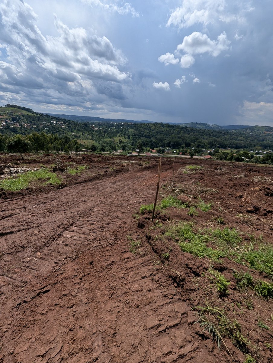 Douglas Mukwaya. tweet media