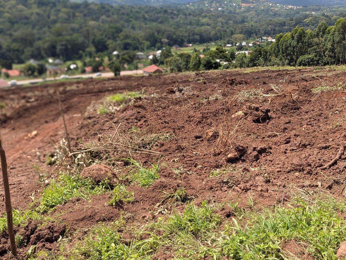 Douglas Mukwaya. tweet media