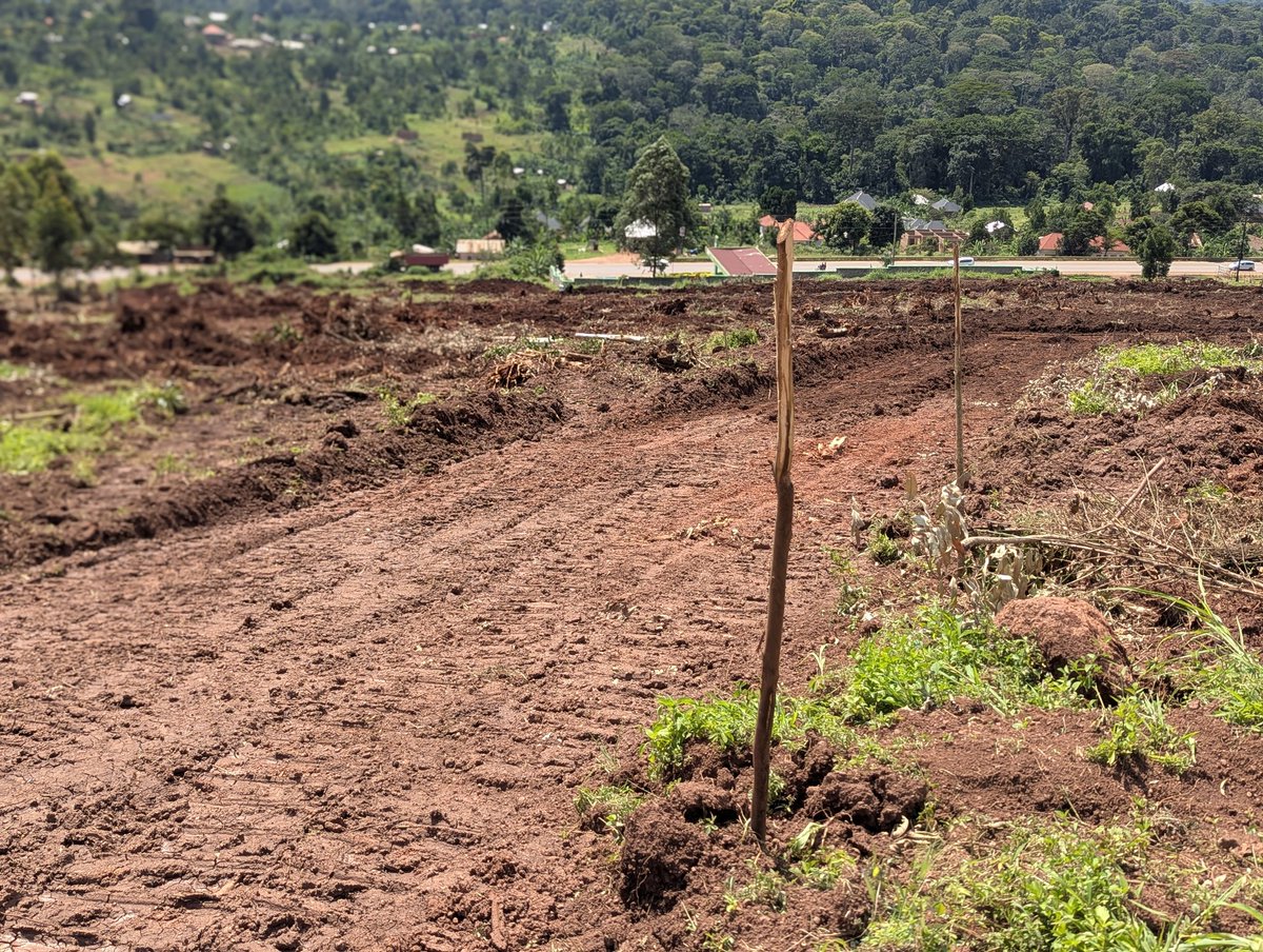 Douglas Mukwaya. tweet media