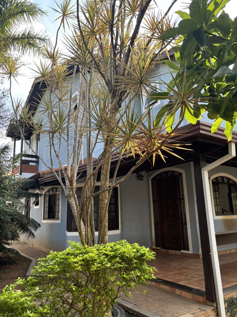 addison raes in a glass wilderness tweet media