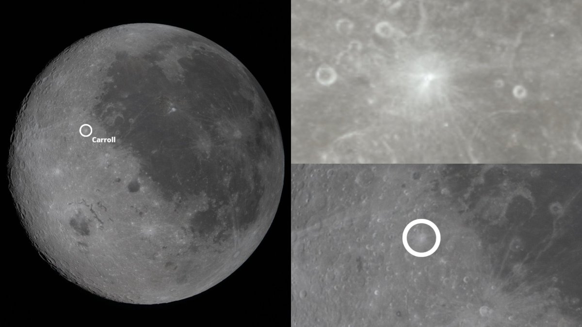 Indie 505 tweet media