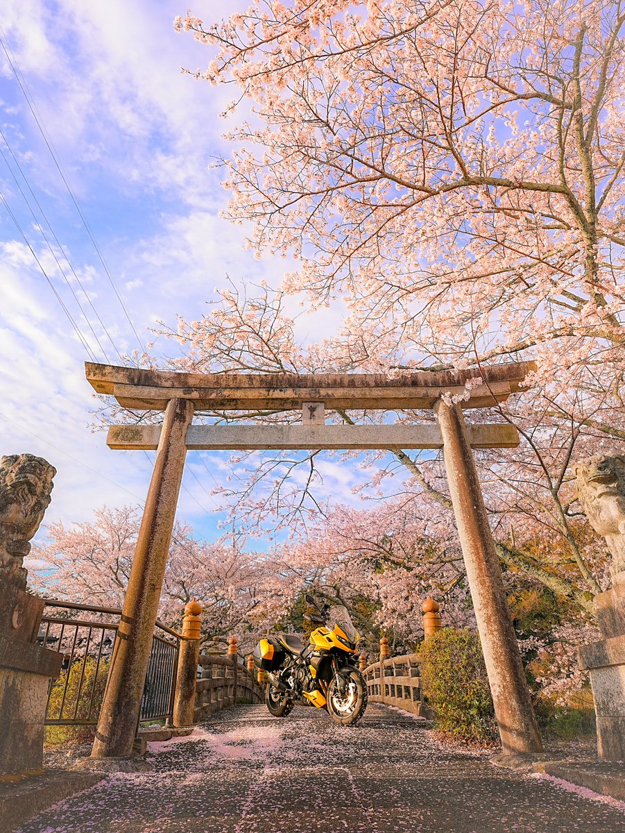 ラファイア🔥 tweet media